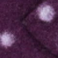 Walk: aubergine-flieder