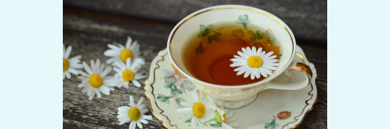 Kräuter-Tee & Kräuter-Salz