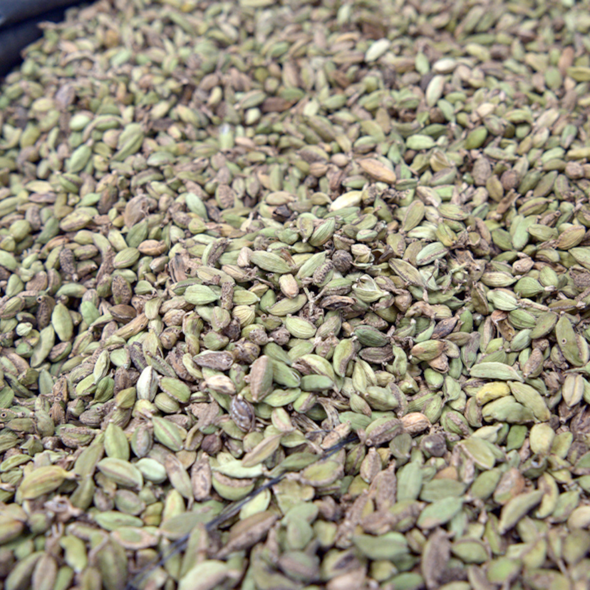 doTERRA - Reines ätherisches Cinnamon Bark - Zimtrinde - CPTG - 5ml