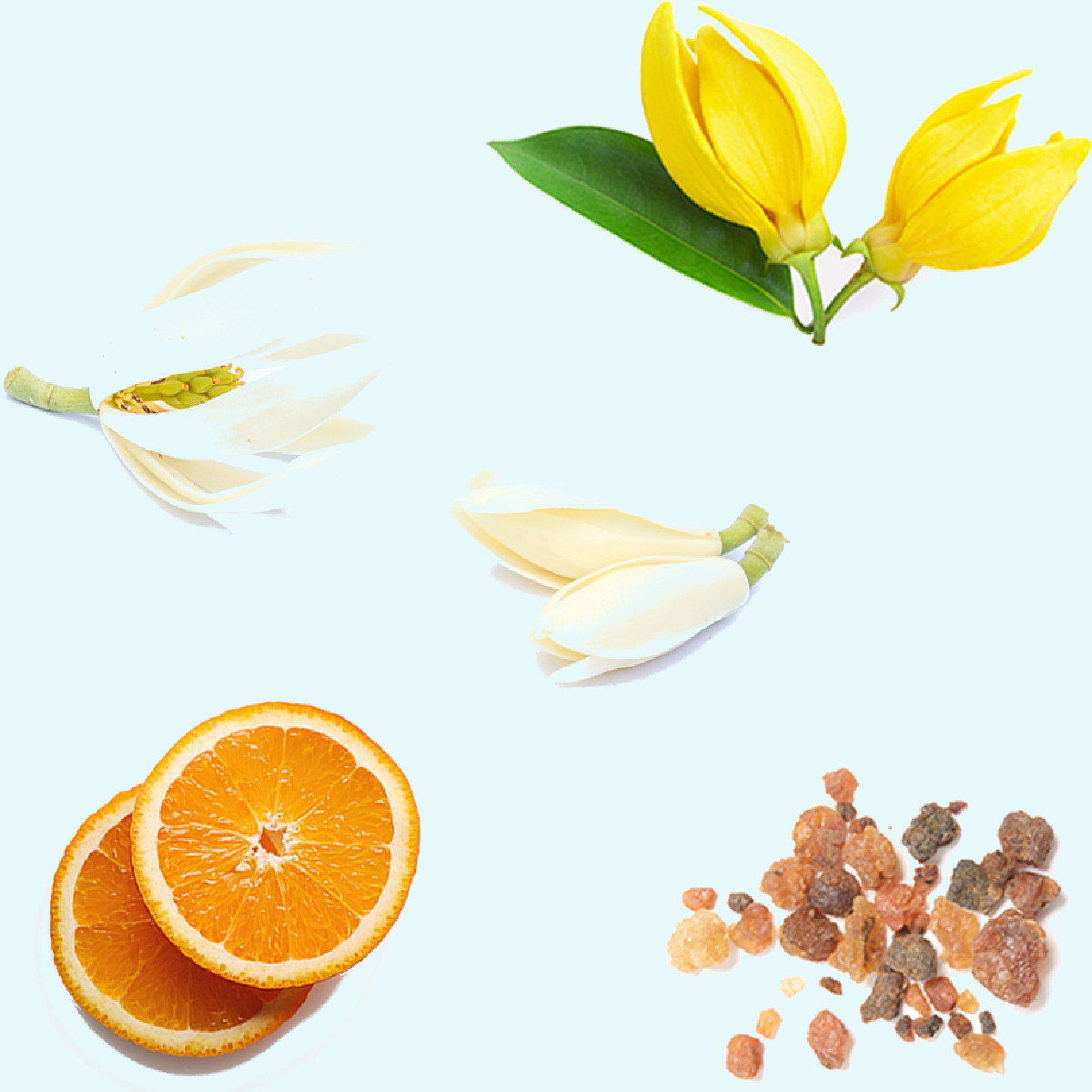 dōTERRA SUN-Set - Reise-Set Sun Care mit reinen ätherischen Ölen - CPTG zertifiziert