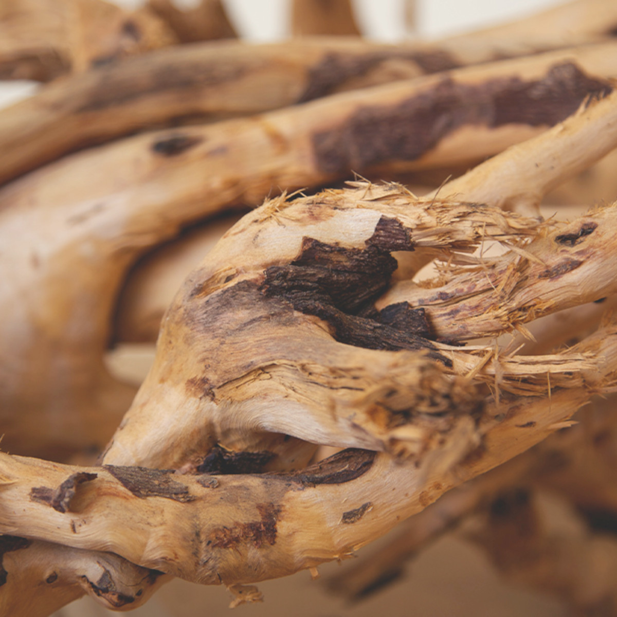 doTERRA - Reines ätherisches Melissa - Zitronenmelisse - CPTG - 5ml