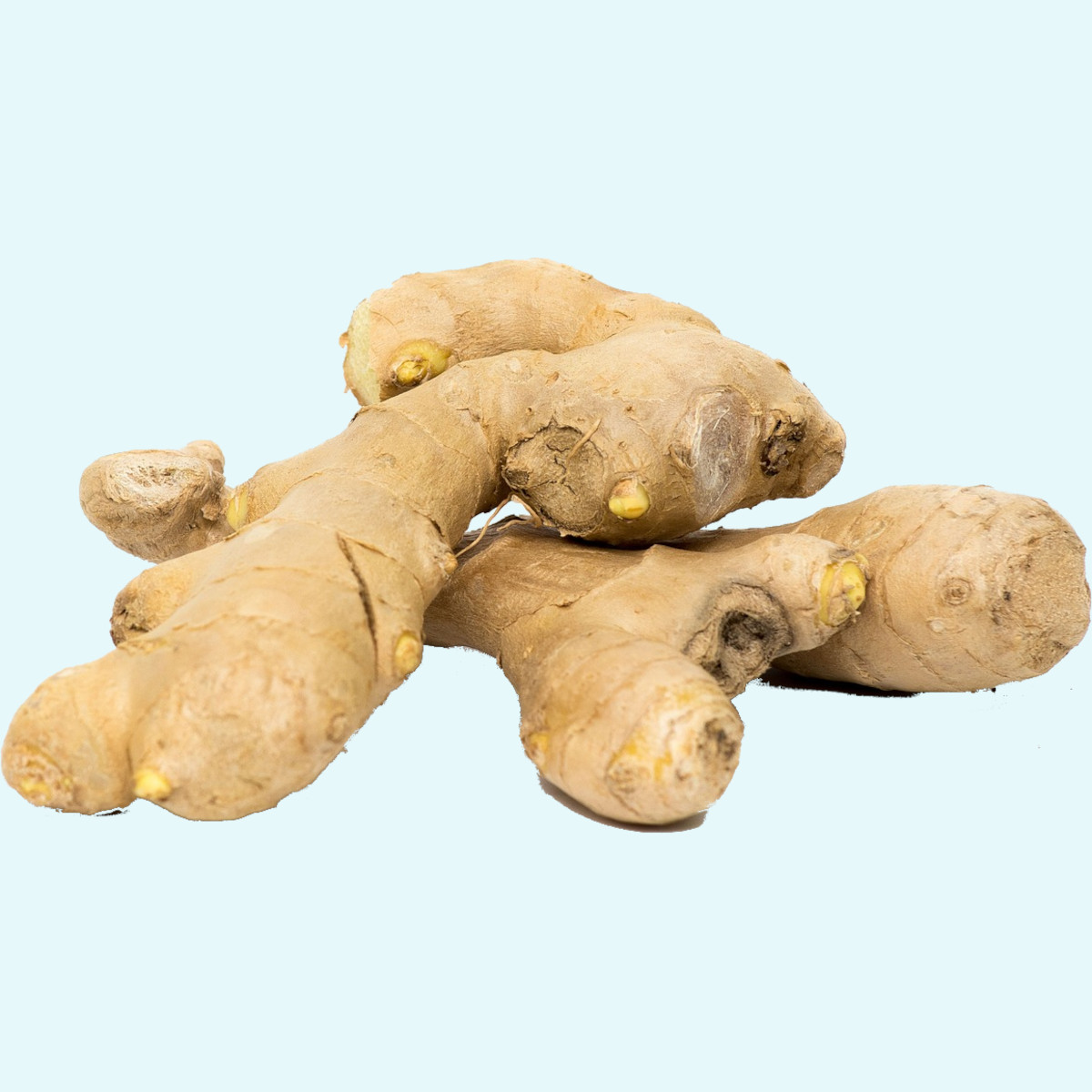 doTERRA - Reines ätherisches Öl Ginger - Ingwer - CPTG - 15ml